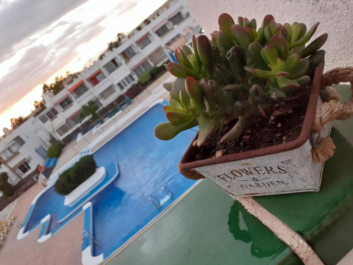Casa Tavio 6 Casa Tavio 7 Lägenhet Costa Del Silencio Exteriör bild